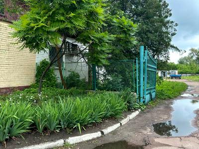 комерційна за адресою Олішевка, 5а