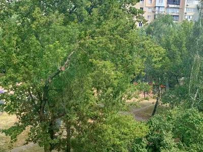 квартира за адресою Вадима Гетьмана вул., 28-Б