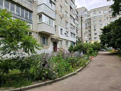 квартира за адресою Білогородська вул., 45