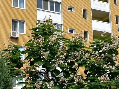 квартира по адресу Сергея Данченко ул., 5