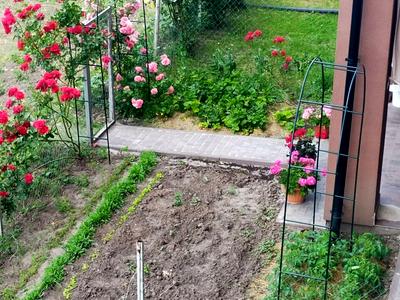 квартира по адресу Різдвяна, 1