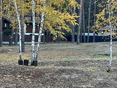участок по адресу с. Романков, Сосновый Бор ул.