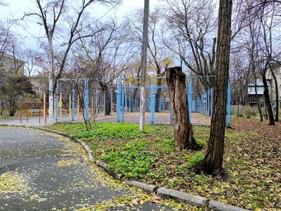 квартира за адресою Шевченка просп., 6/7