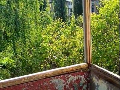 квартира за адресою Ніжинська вул., 18