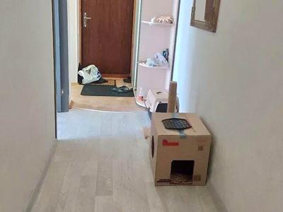 квартира по адресу Тракторостроителей просп., 65