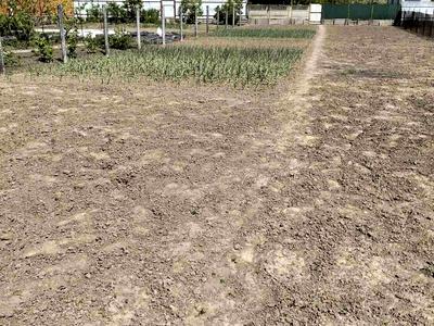участок по адресу Гоголя ул., 14Б