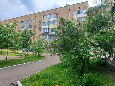квартира за адресою Бучанське шосе, 9