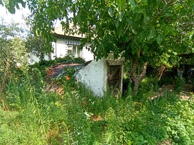 дом по адресу куща