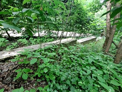 участок по адресу с. Креничи, Центральна вулиця