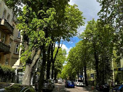 квартира за адресою Євгена Коновальця вул. (), 37