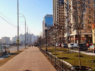 квартира по адресу Левка Лукьяненко ул. (Маршала Тимошенко), 29