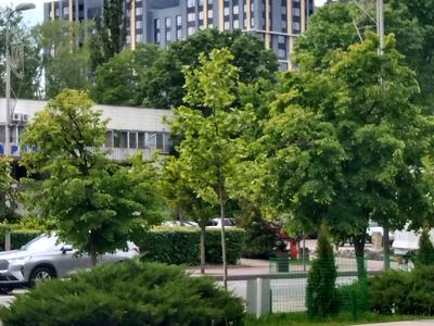 квартира по адресу Паркова, 40