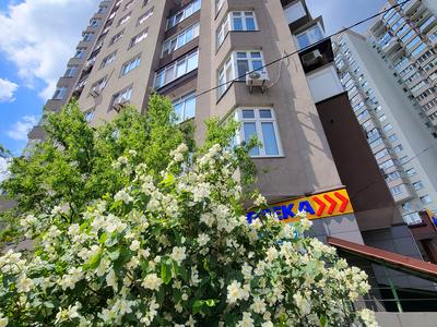 квартира за адресою Градинська вул., 1