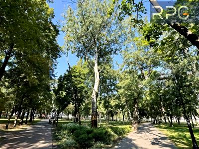 квартира по адресу Копыловская ул., 12-А