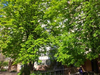квартира по адресу Крымская ул., 84