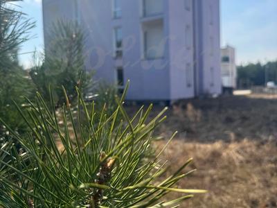 будинок за адресою Західна