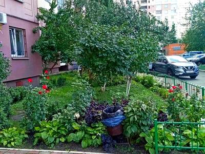 квартира за адресою Олени Пчілки вул., 4
