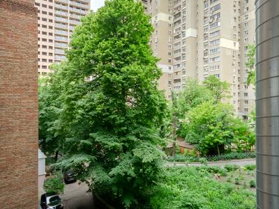 квартира за адресою Велика Васильківська вул. (Червоноармійська), 112