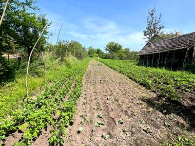 дом по адресу Вулиця без Назви