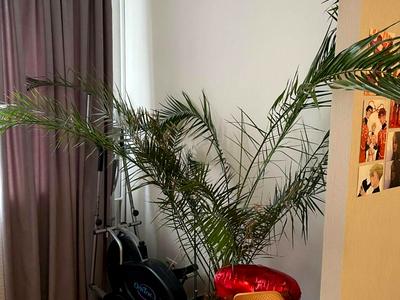квартира за адресою Харків, Соборності України вул., 228а