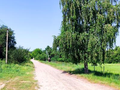 участок по адресу Молодіжна, 2