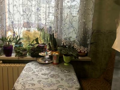 кімната за адресою Оболонський просп., 16-Е