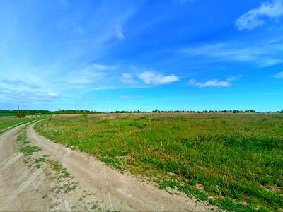 ділянка за адресою Лісові Гринівці, 121