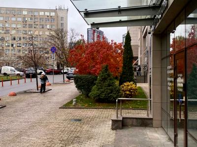комерційна за адресою Саперне Поле вул., 3