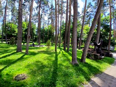 квартира по адресу Покровська, 9