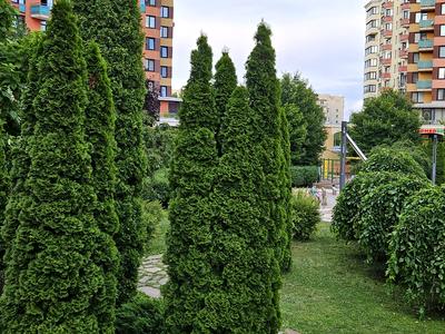 квартира за адресою Юлії Здановської вул. (Ломоносова), 71-З