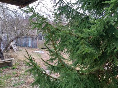 ділянка за адресою Вишгородська, 16