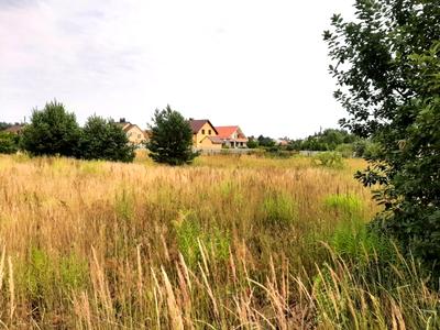 ділянка за адресою Берегова