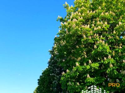 квартира по адресу Київська ул., 4