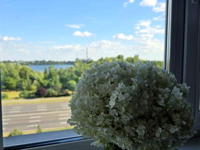 квартира за адресою Миколи Бажана просп., 7-Ж