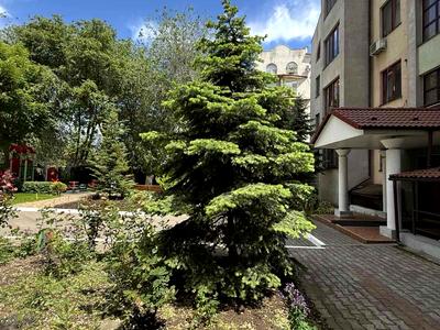 квартира по адресу Педагогический пер., 3/1