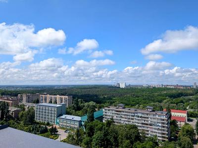 квартира по адресу Метрологическая ул., 13 А