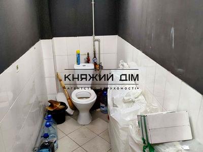 комерційна за адресою Гетьмана Кирила Розумовського вул. (Миколи Краснова), 17