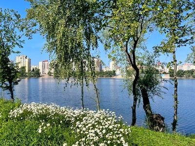 квартира по адресу Оболонский просп., 23-А