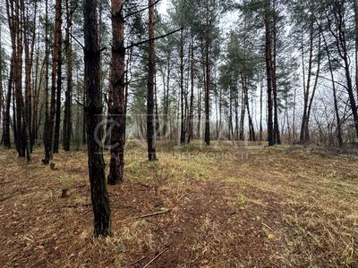 участок по адресу с. Плюты, 