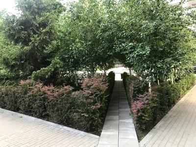 квартира по адресу Златоустовская ул., 34