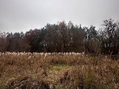 участок по адресу Підлісна