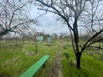 будинок за адресою Зірочка