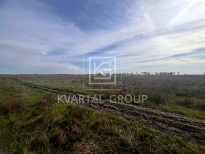 участок по адресу с. Блиставица, Поліська, 1