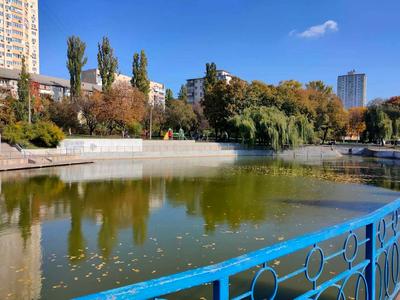 квартира по адресу Николая Василенко ул., 11