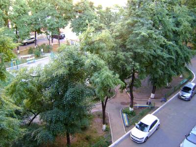 квартира за адресою Велика Васильківська вул. (Червоноармійська), 45
