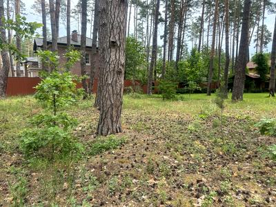 участок по адресу Антония Михайловского ул.