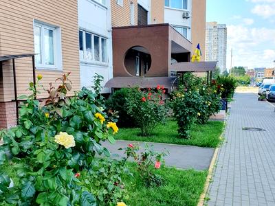 квартира за адресою Здолбунівська вул., 13