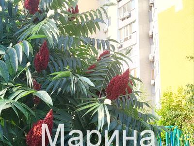 квартира по адресу Григория Ващенко ул., 1