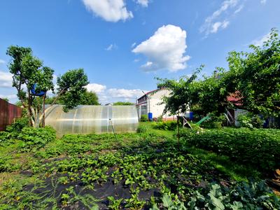 будинок за адресою с. Новосілки, Лісова