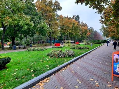 квартира по адресу Князя Романа Мстиславича ул. (Генерала Жмаченка), 2